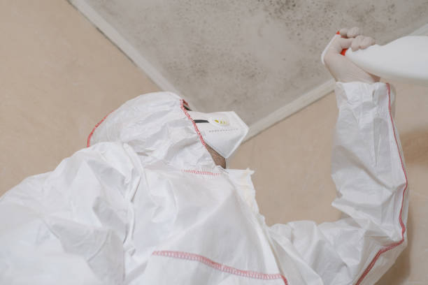 Best Attic Mold Removal  in St James City, FL